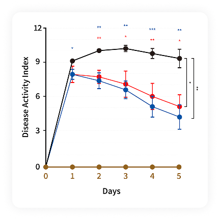 DNBS-induced Colitis 모델 설명 이미지 2