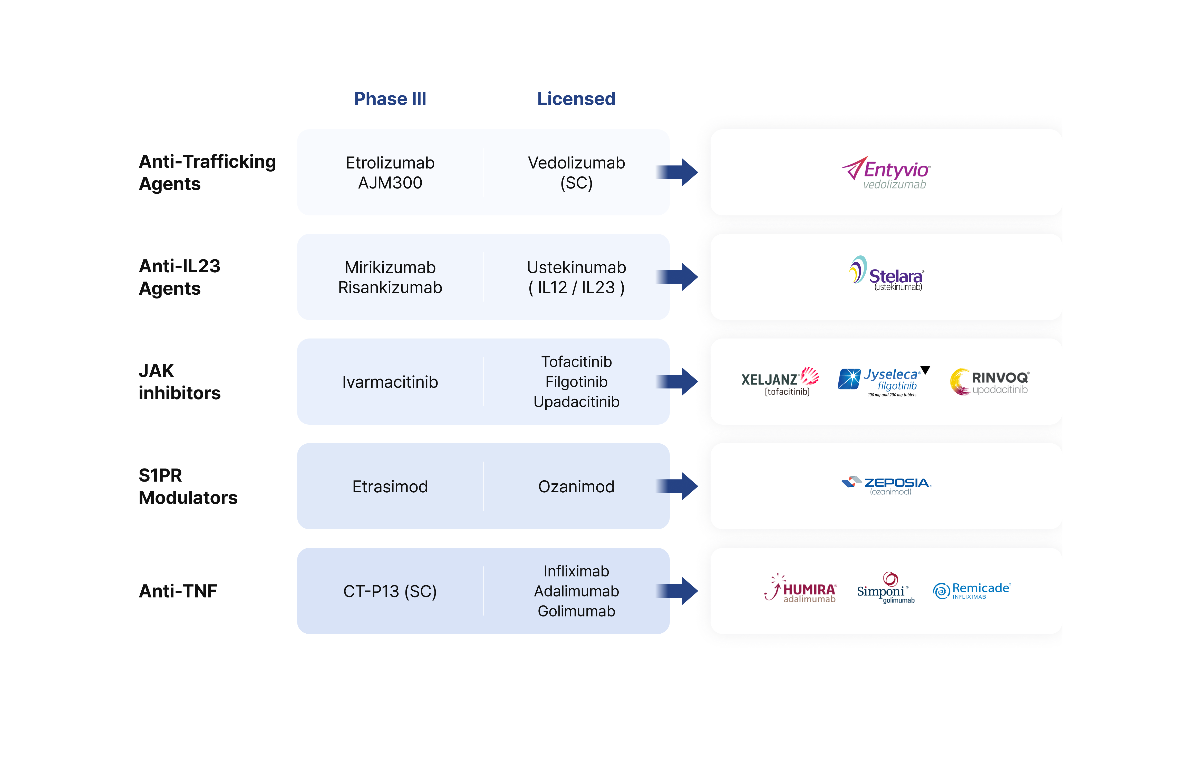 ibd 과정 이미지